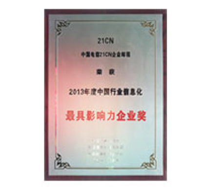 2013年度中国行业信息化最具影响力企业奖